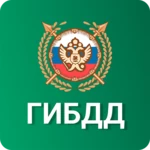 штрафы гибдд официальные +фото android application logo